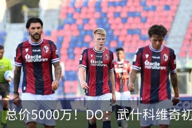 总价5000万！DO：武什科维奇初始转会费4600万镑，热刺有二转分成