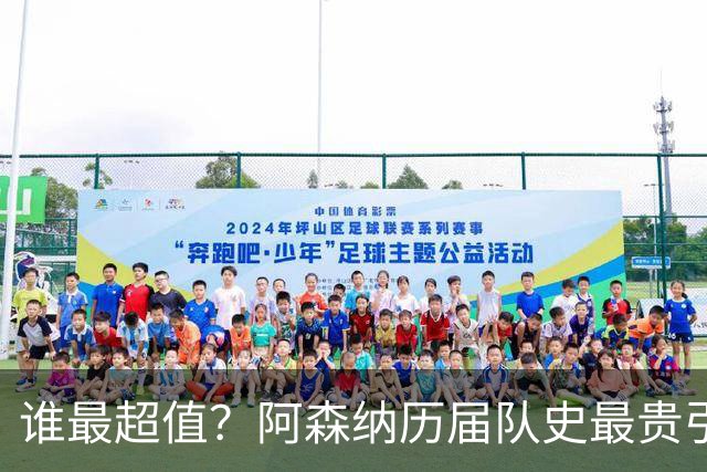 谁最超值？阿森纳历届队史最贵引援实力对比